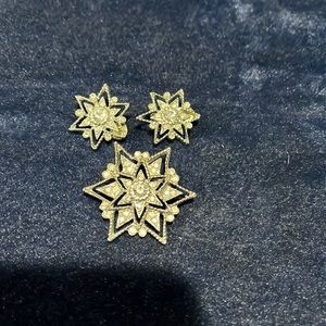 VTG Earrings and Brooch